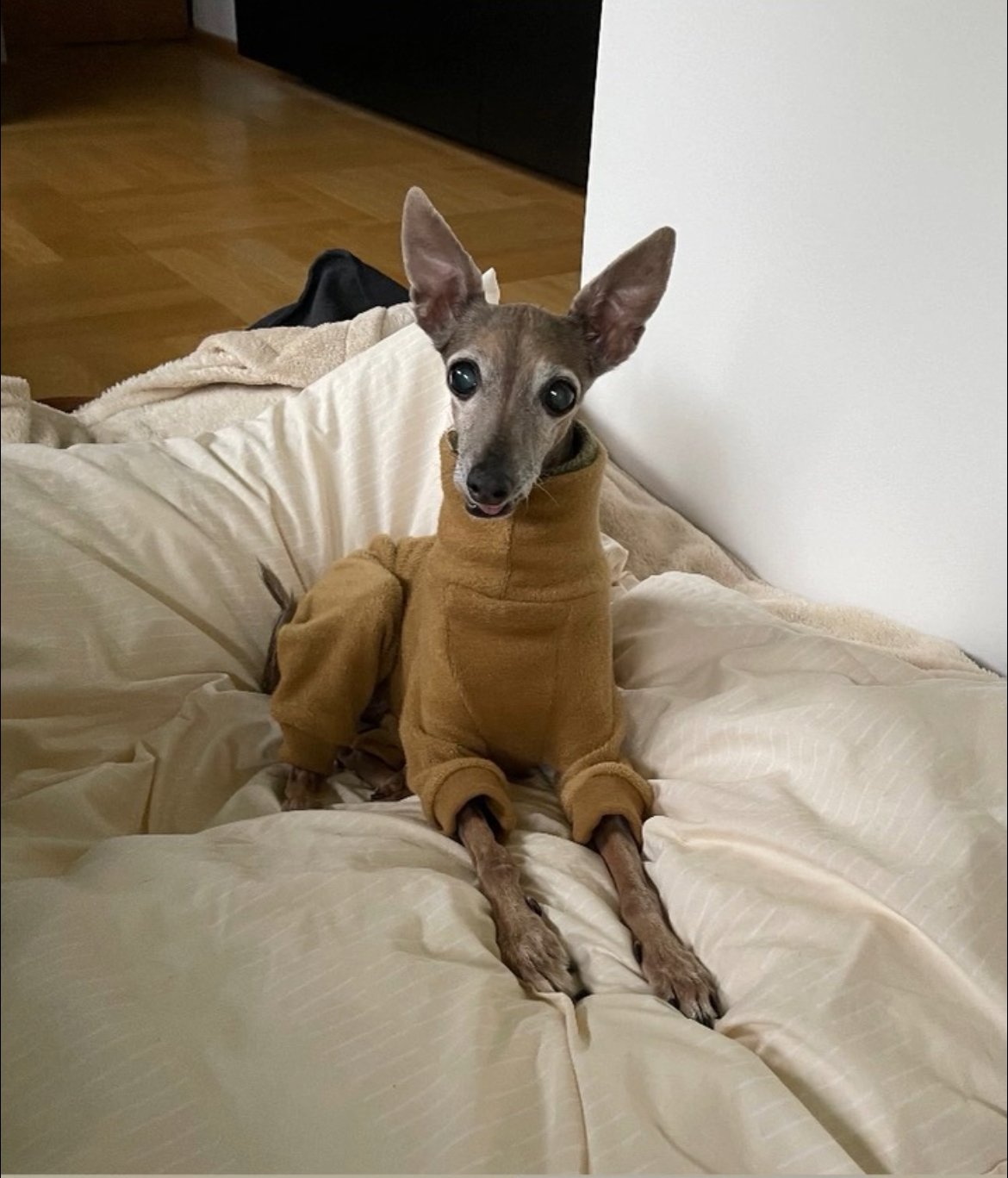 Fleece Lined Sweatshirt - Honey Yellow