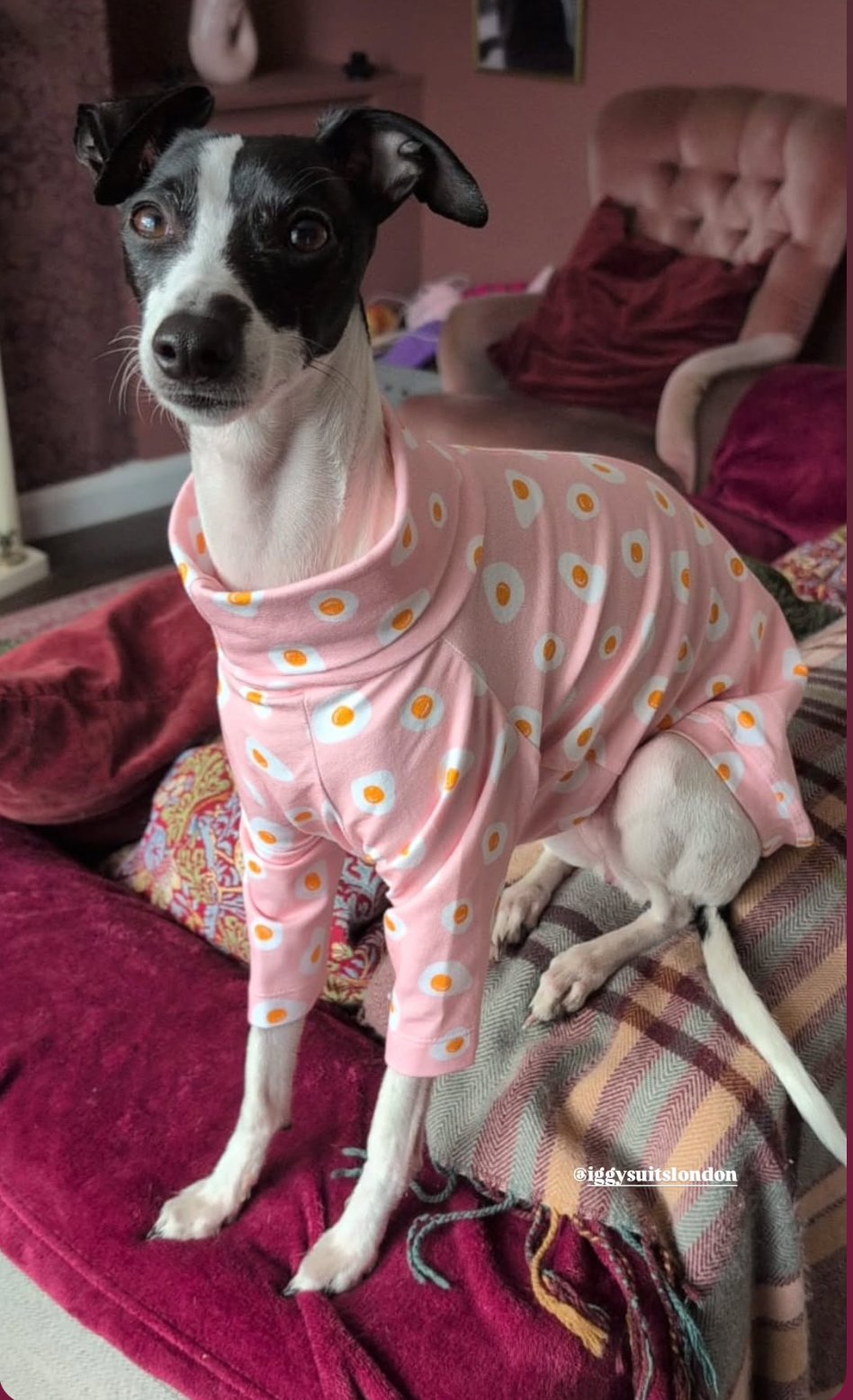 Jersey T-Shirt - Fried Eggs