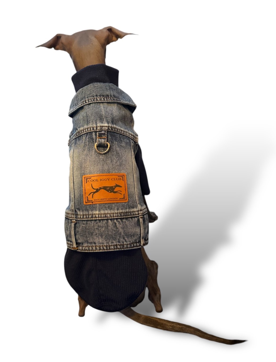 Dog wearing a denim jacket with a brand logo on a white background