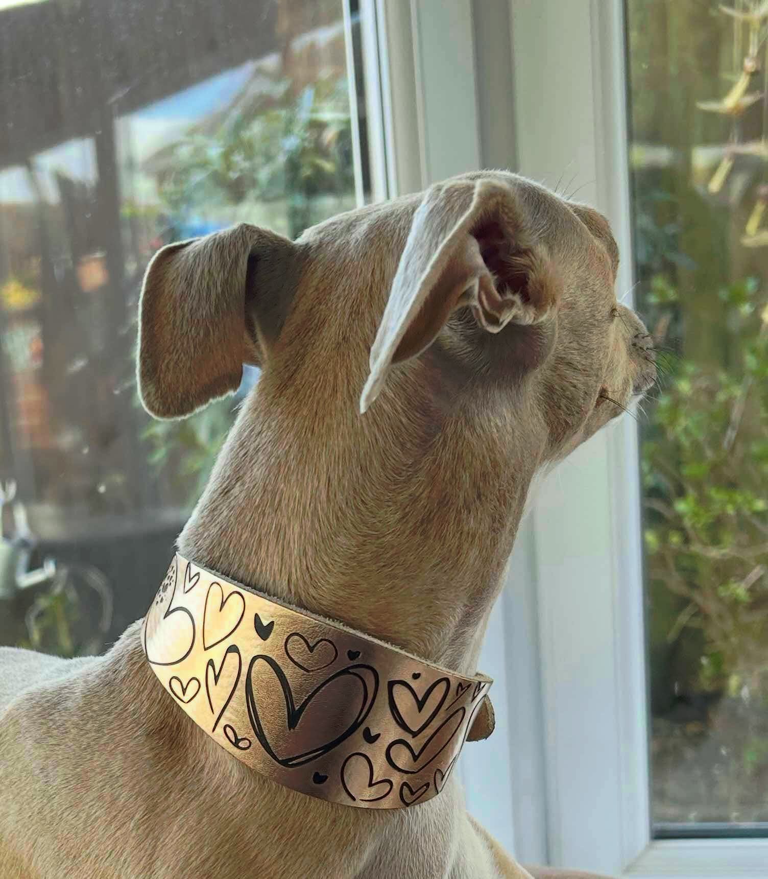 Leather Collar - Hearts