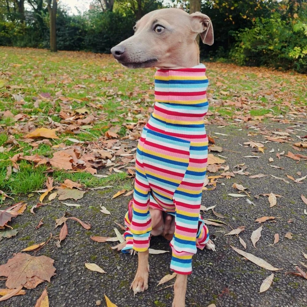 Knit Jersey Suit - Grey Stripe