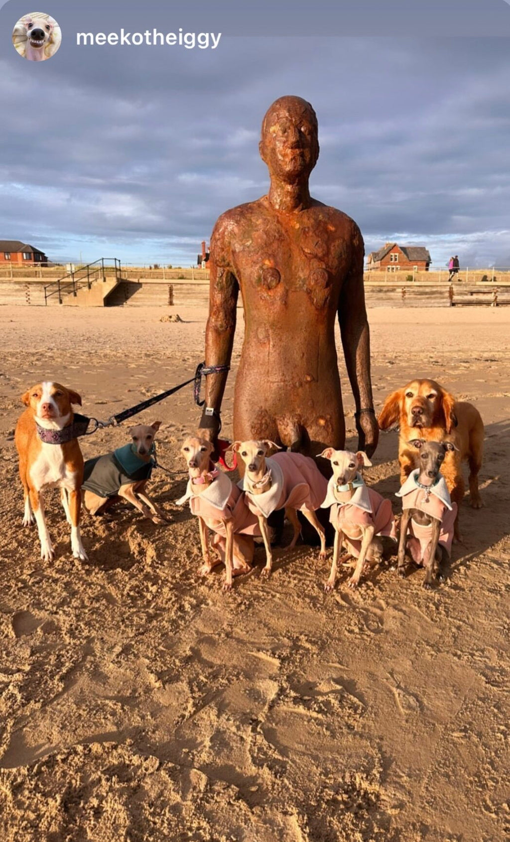 Rain Mac - Blush Pink Submarines