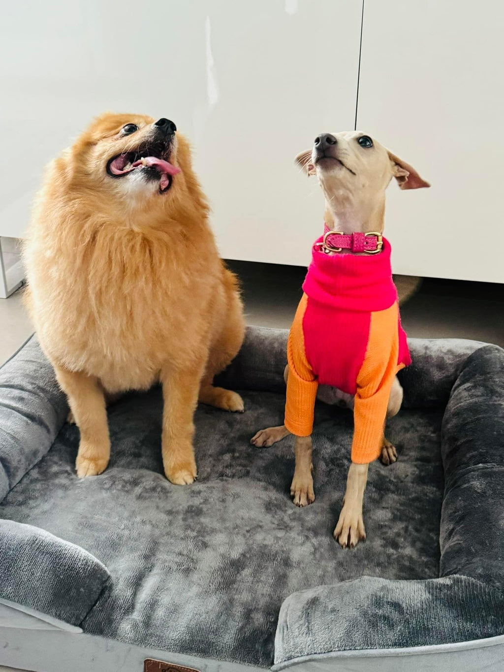 Ribbed Jersey T-Shirt - Fuchsia