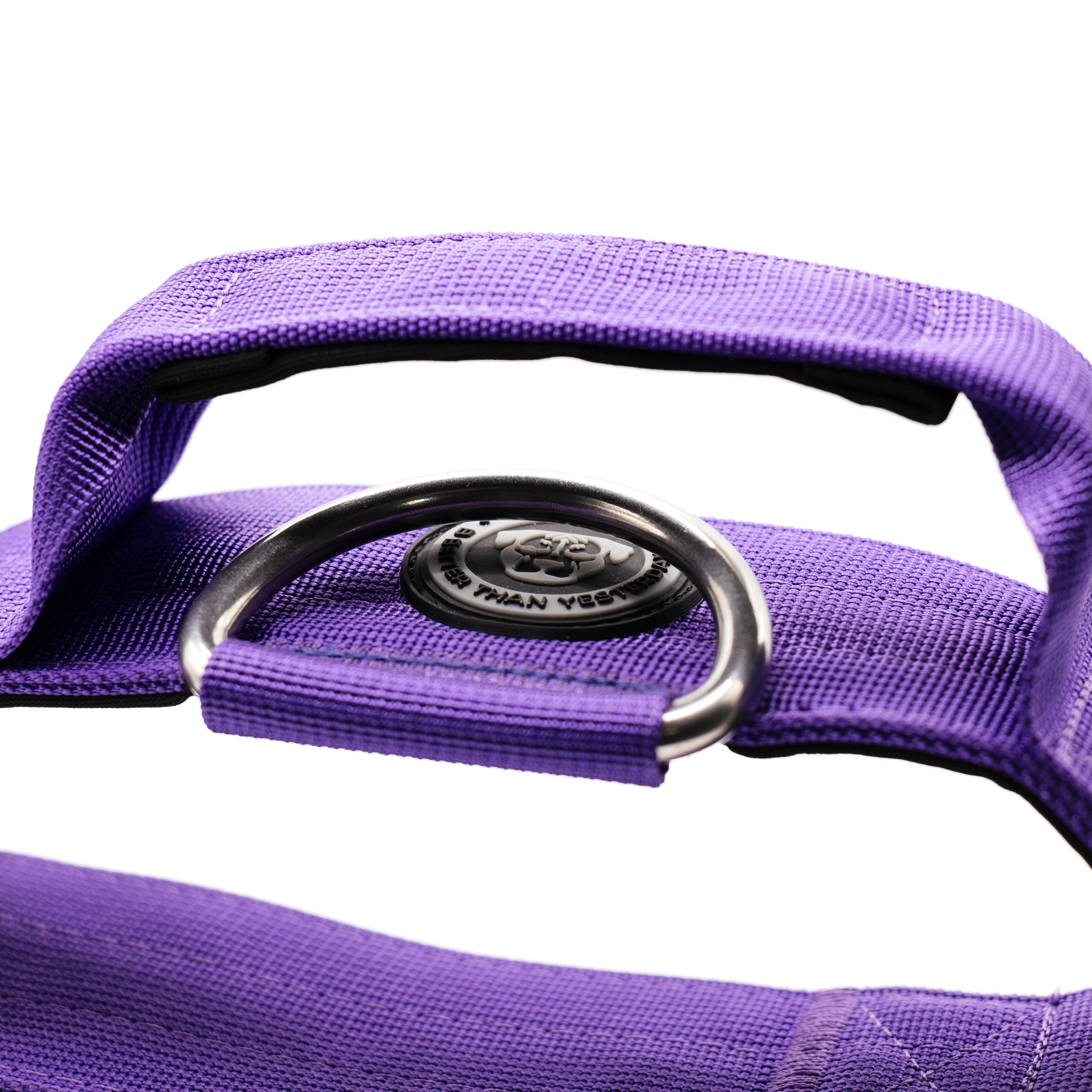 5cm Nylon BTactical™ Collar | Lavender Purple