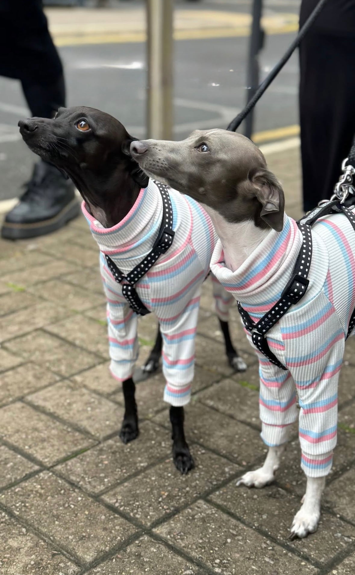 Ribbed Jersey Suit - Pink & Blue Stripe