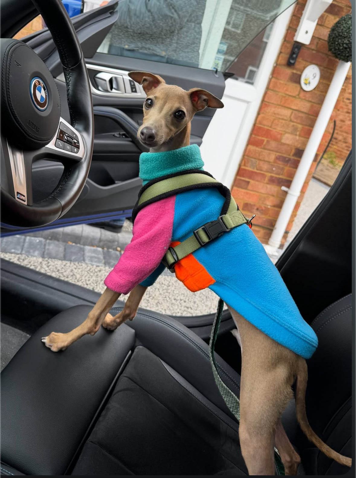 Fleece Jumper - Neon Colour Block