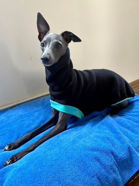 Open-Leg Fleece Vest - Black & Aqua