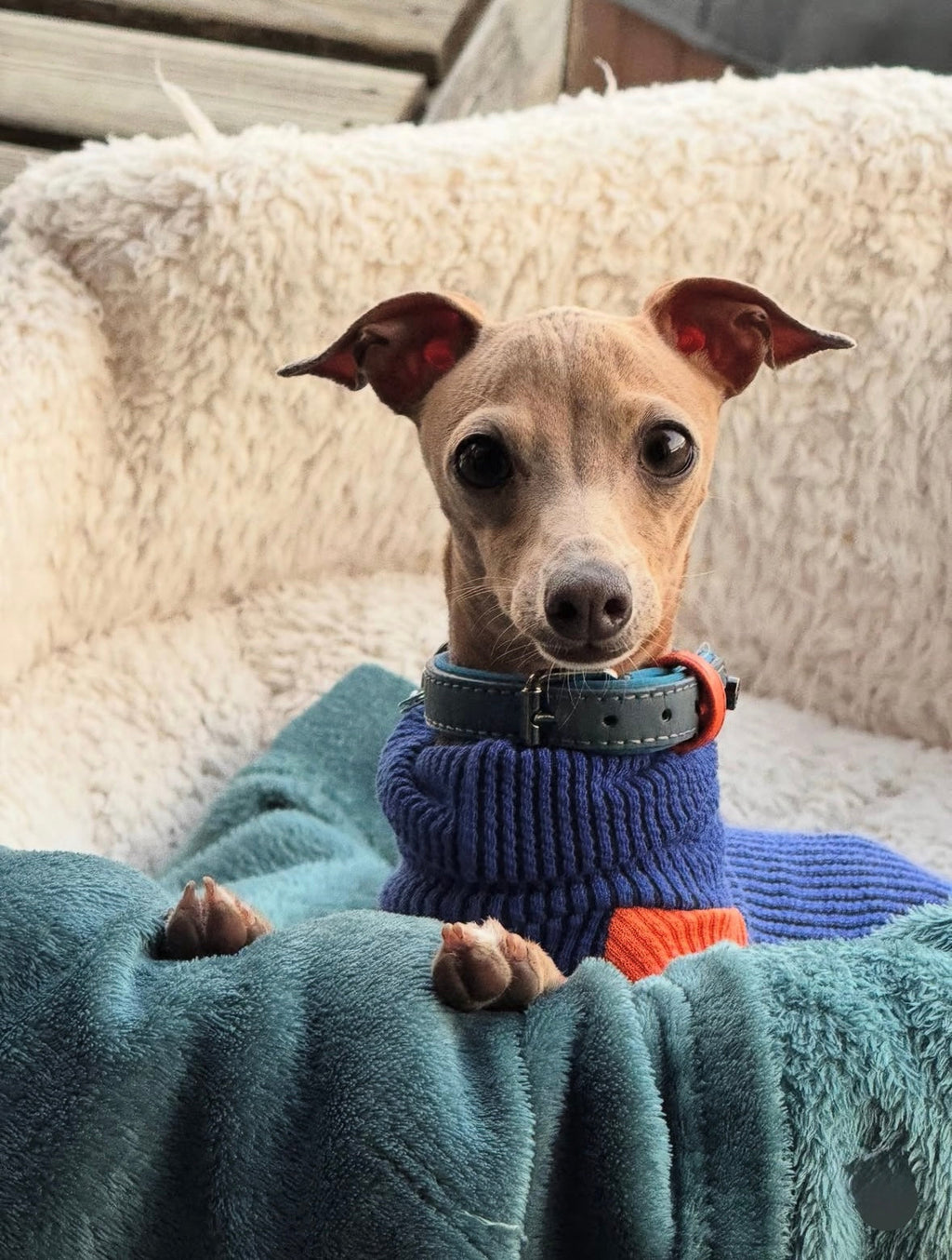 Ribbed Jersey T-Shirt - Orangina