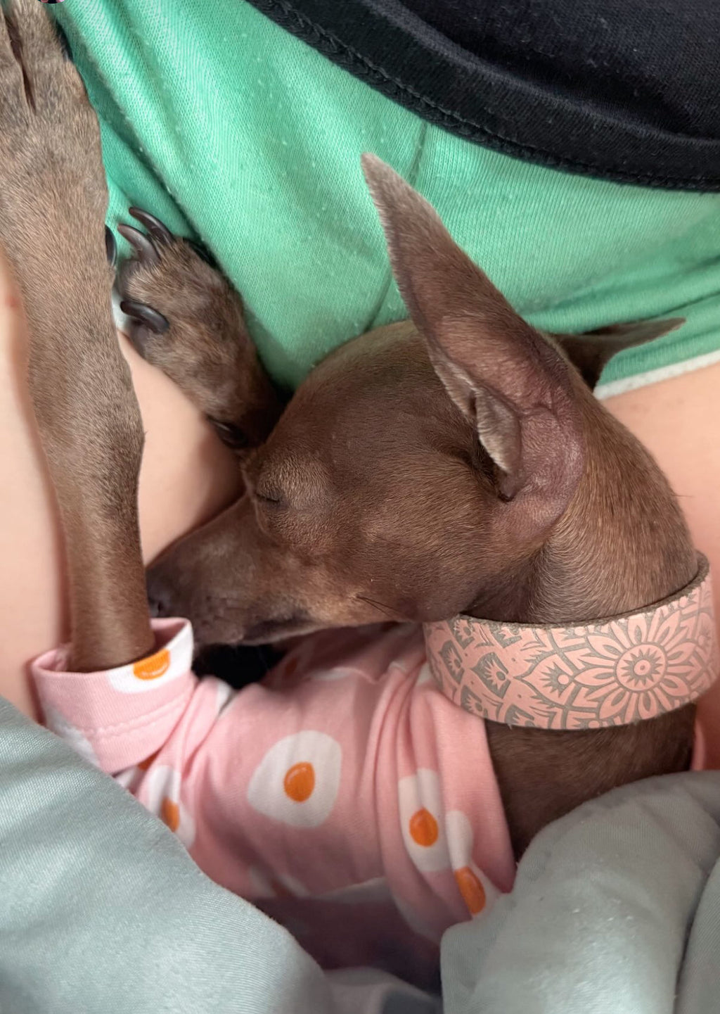 Leather Collar - Mandala