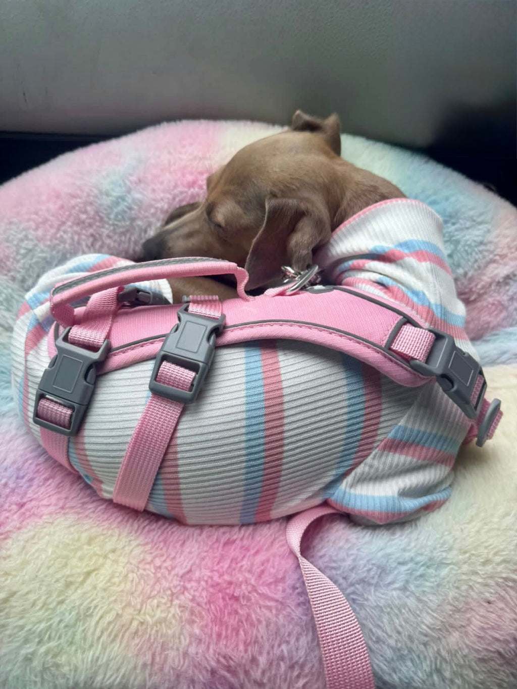 Ribbed Jersey Suit - Pink & Blue Stripe