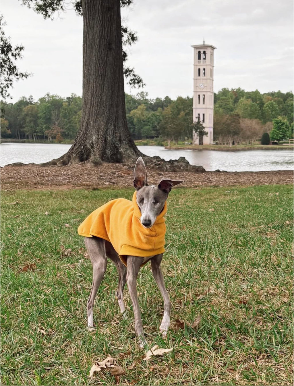 Open-Leg Fleece Vest - Black & Aqua