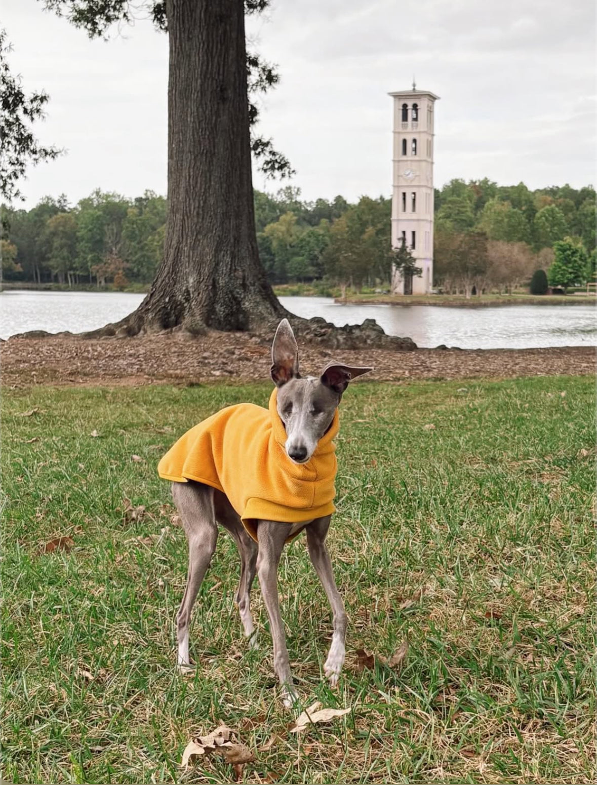 Open-Leg Fleece Vest - Black & Aqua