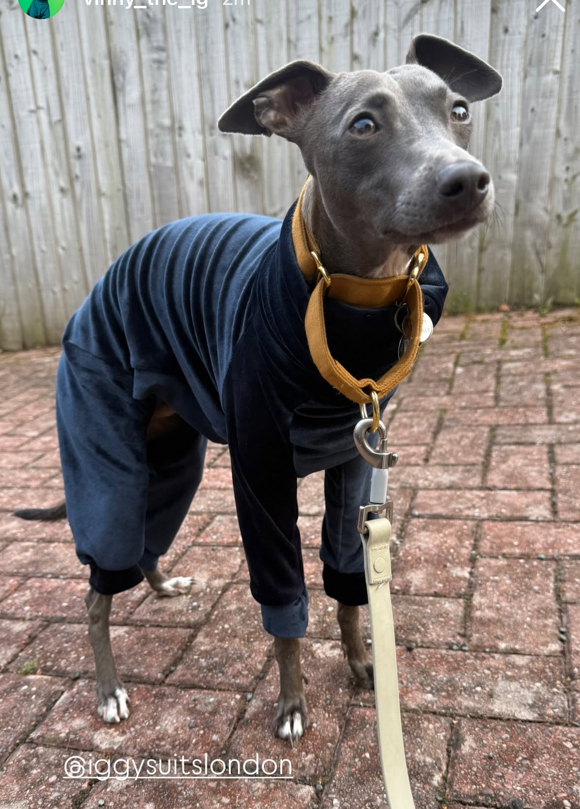 Mink Velour Jersey Suit - Navy Blue