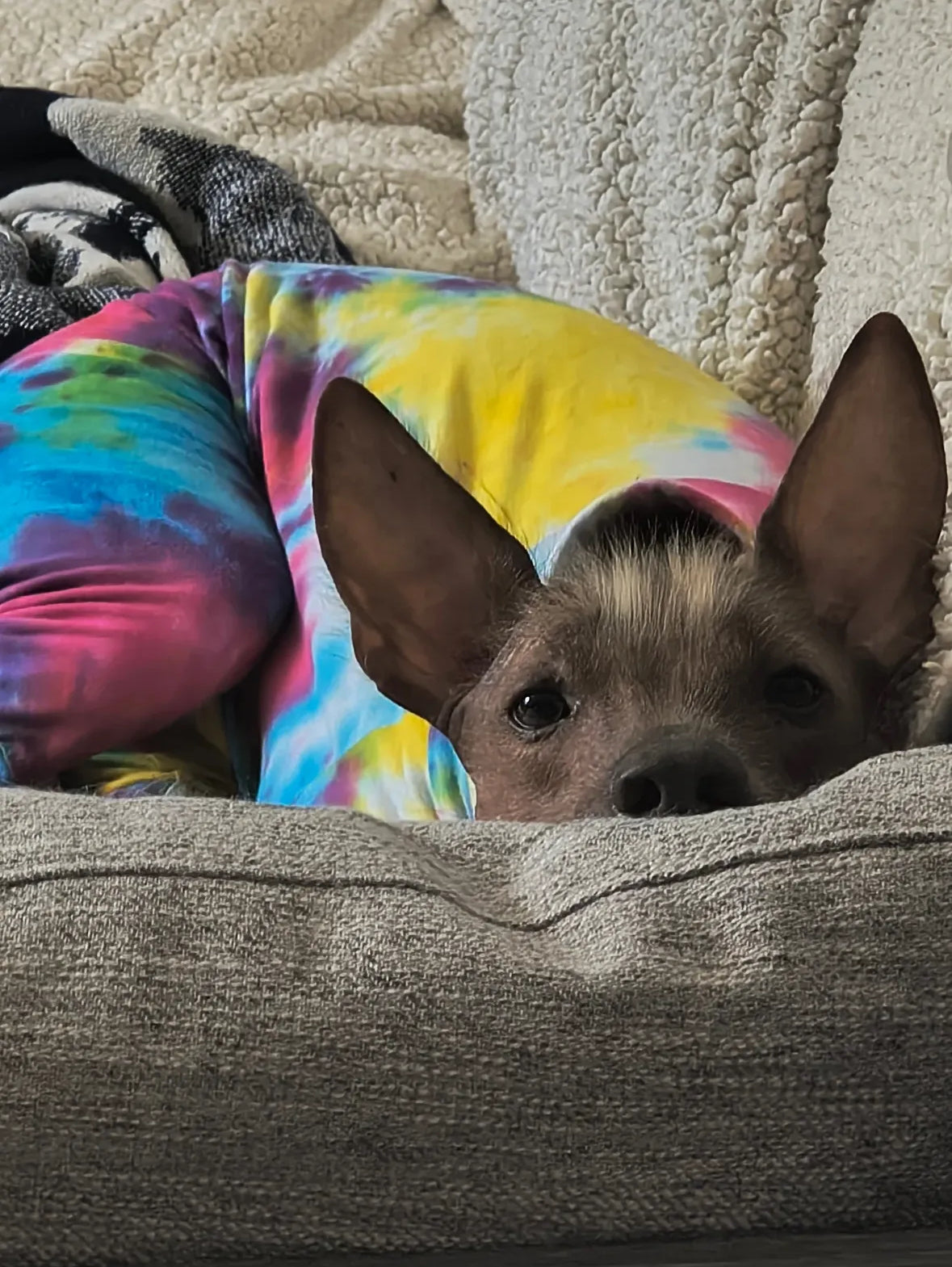 Jersey Suit - Rainbow Tie Dye