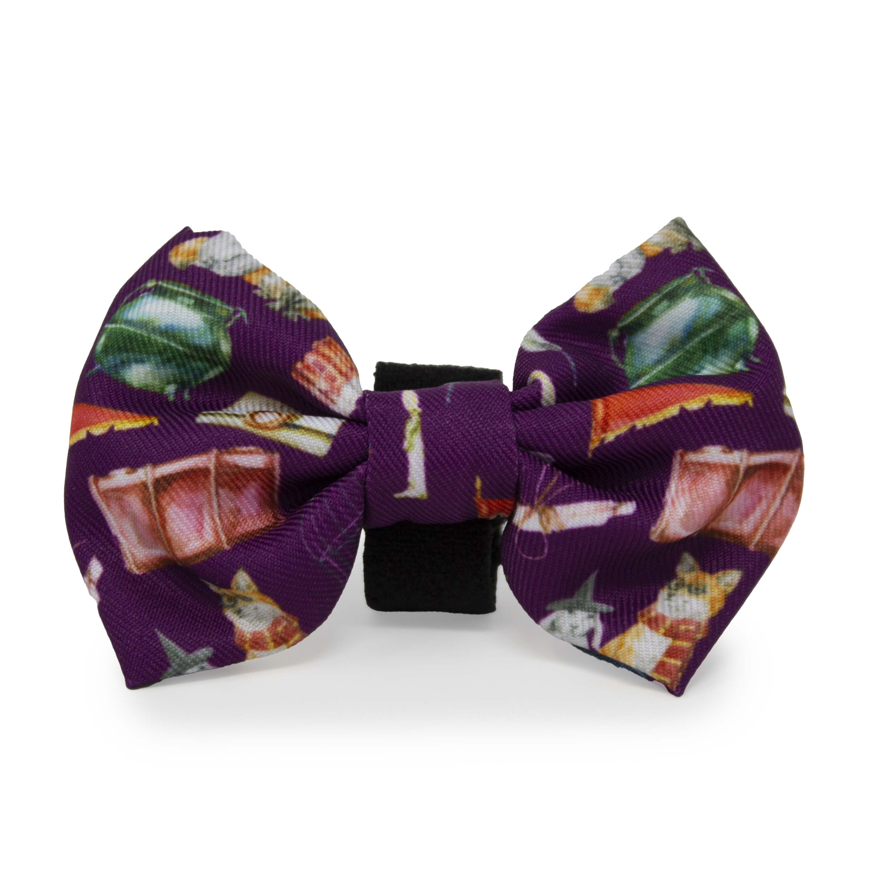 Harry Pawter Design Dog Collar