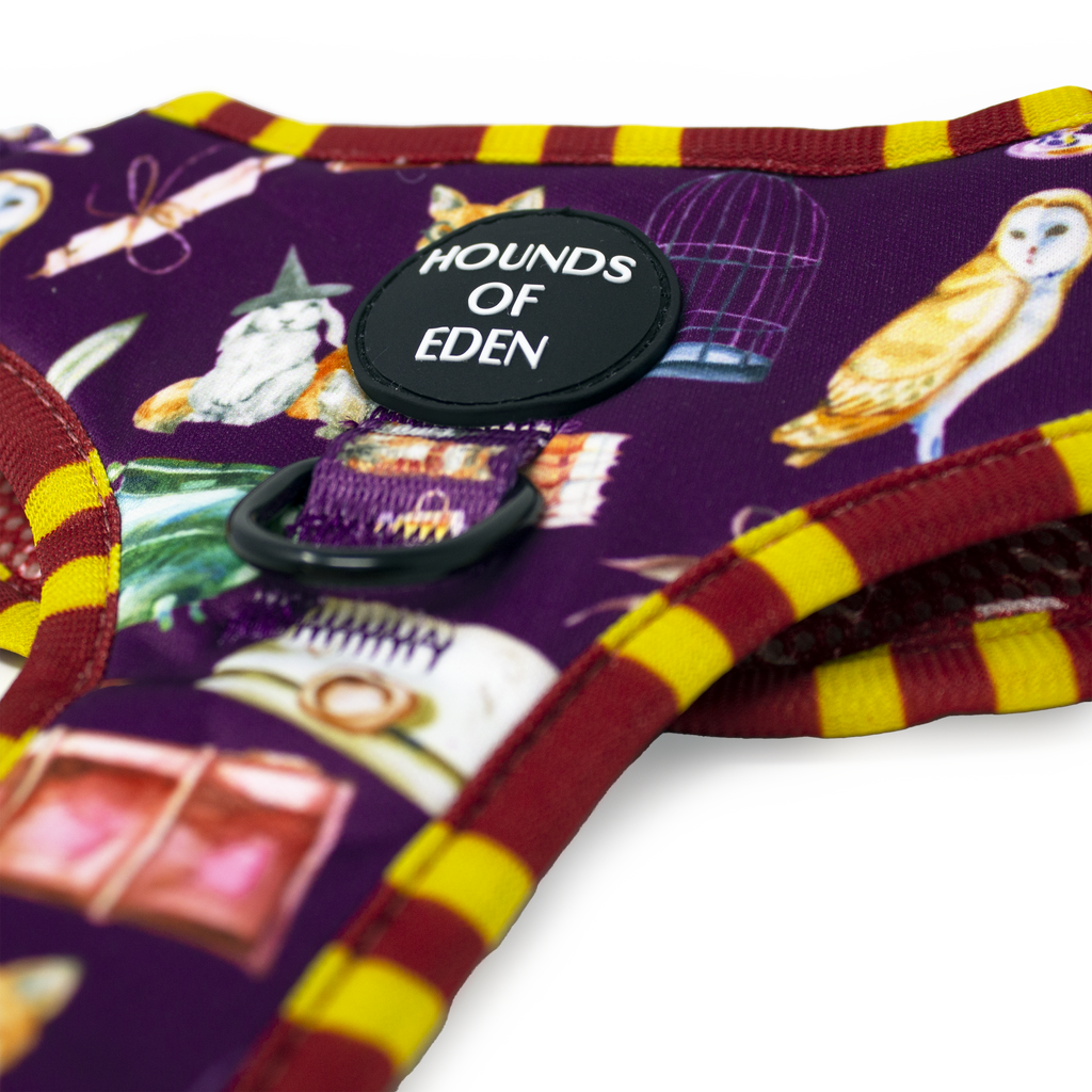 Harry Pawter Design Dog Collar