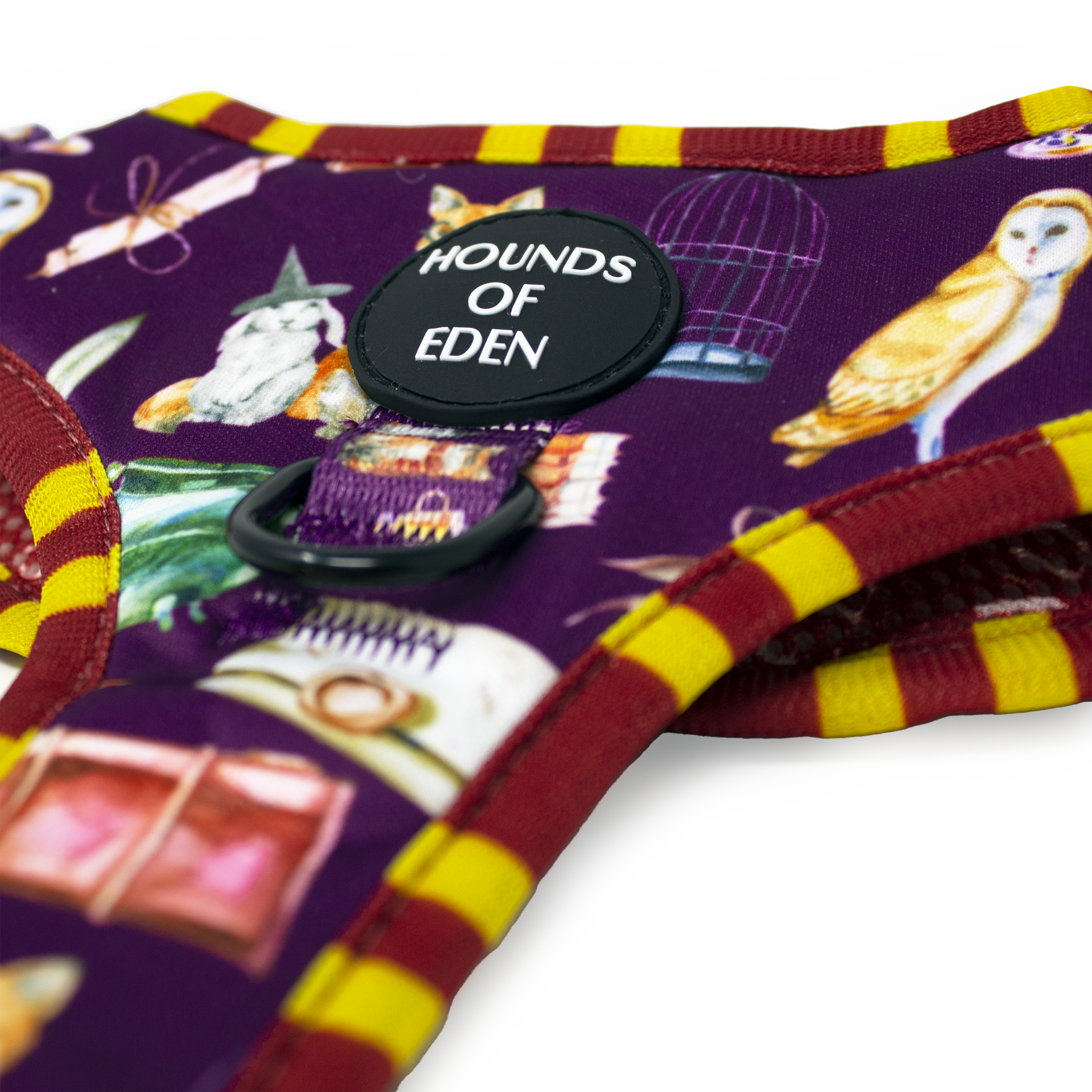 Harry Pawter Design Dog Collar