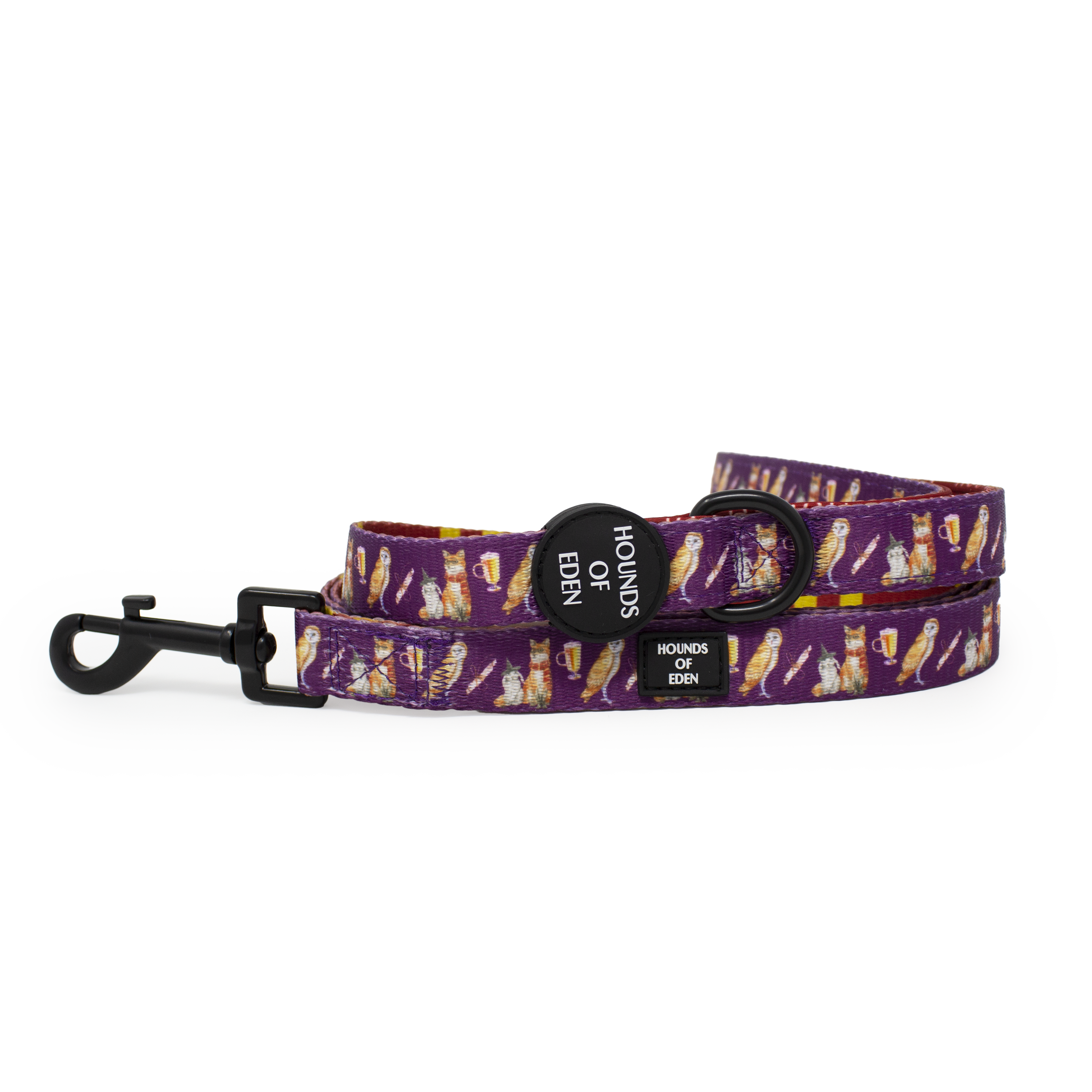 Harry Pawter Design Dog Lead