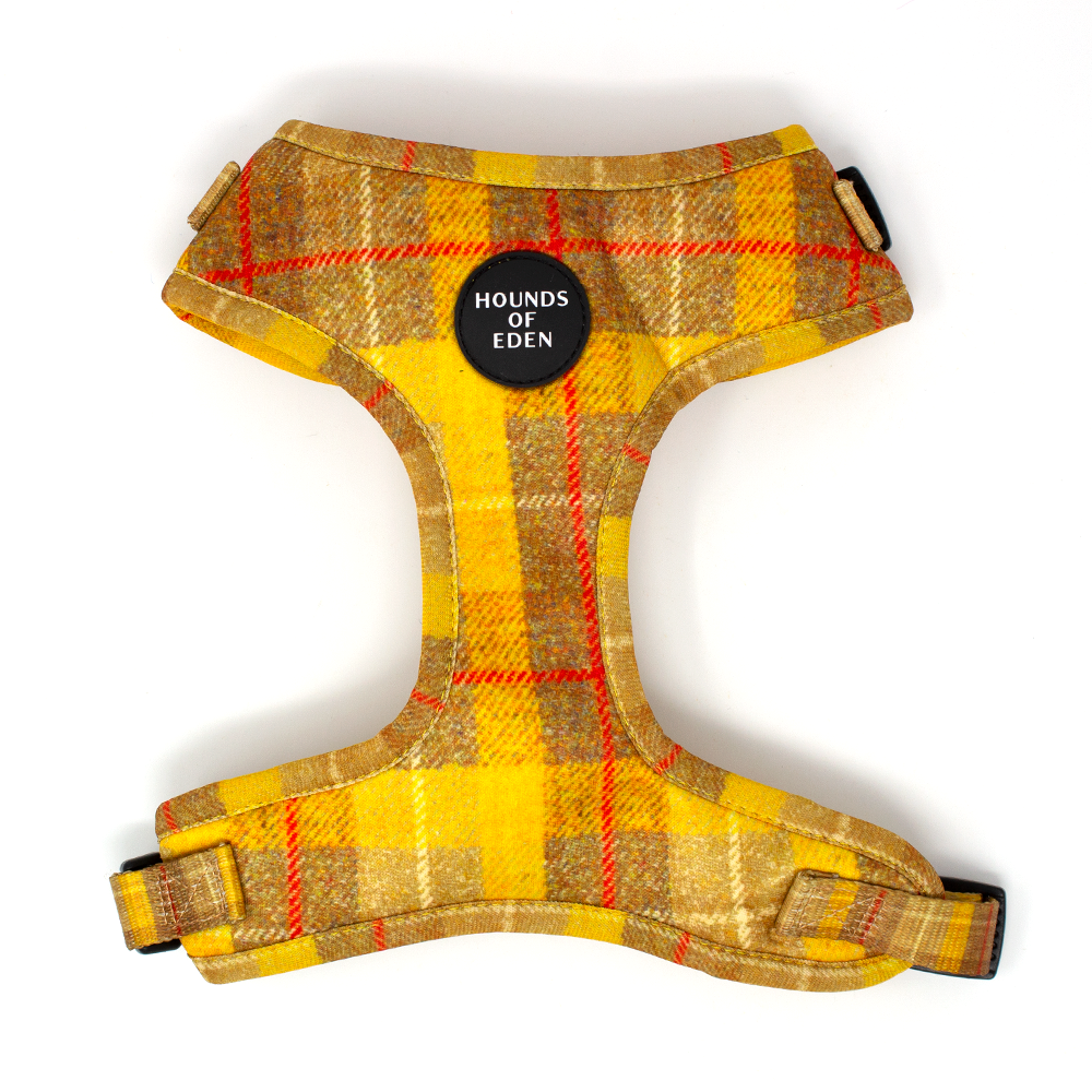 Honey - Yellow check dog harness with plaid pattern and Hounds of Eden logo