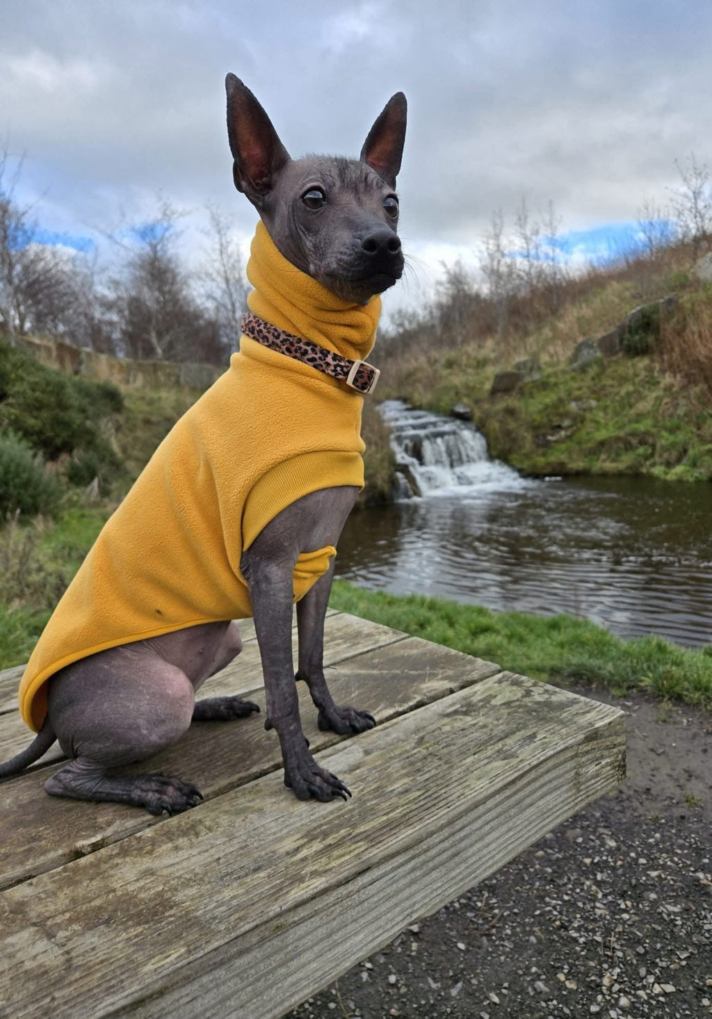 Open-Leg Fleece Vest - Coral