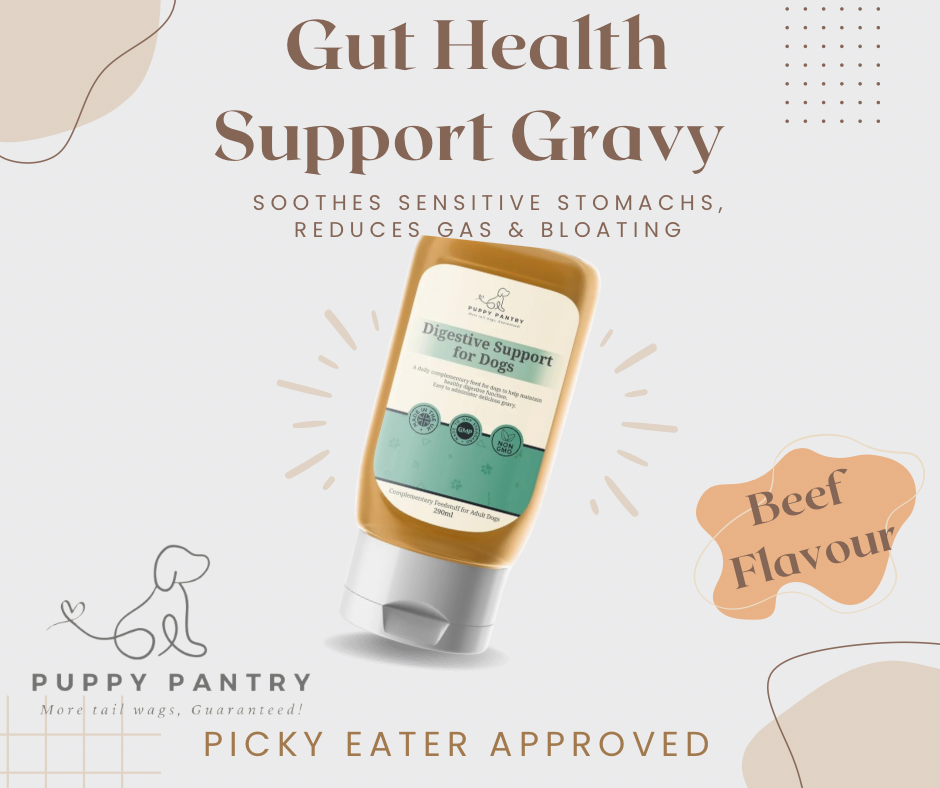 Probiotic Digestive Gravy – Beef for Dogs (290ml)
