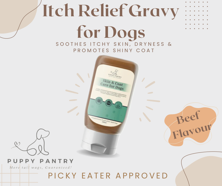 Itch Relief Gravy for Dogs – 290ml