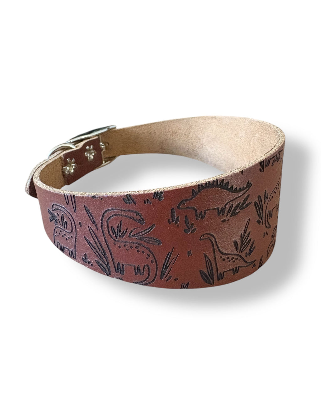 Leather Collar - Dinosaurs