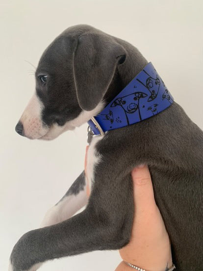 Leather Collar - Hounds