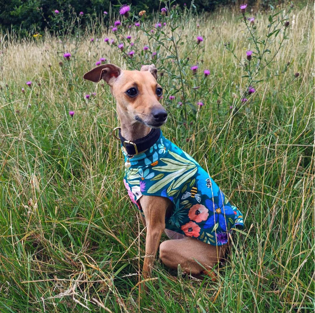 Dog wearing a colorful shirt in a grassy field with flowers