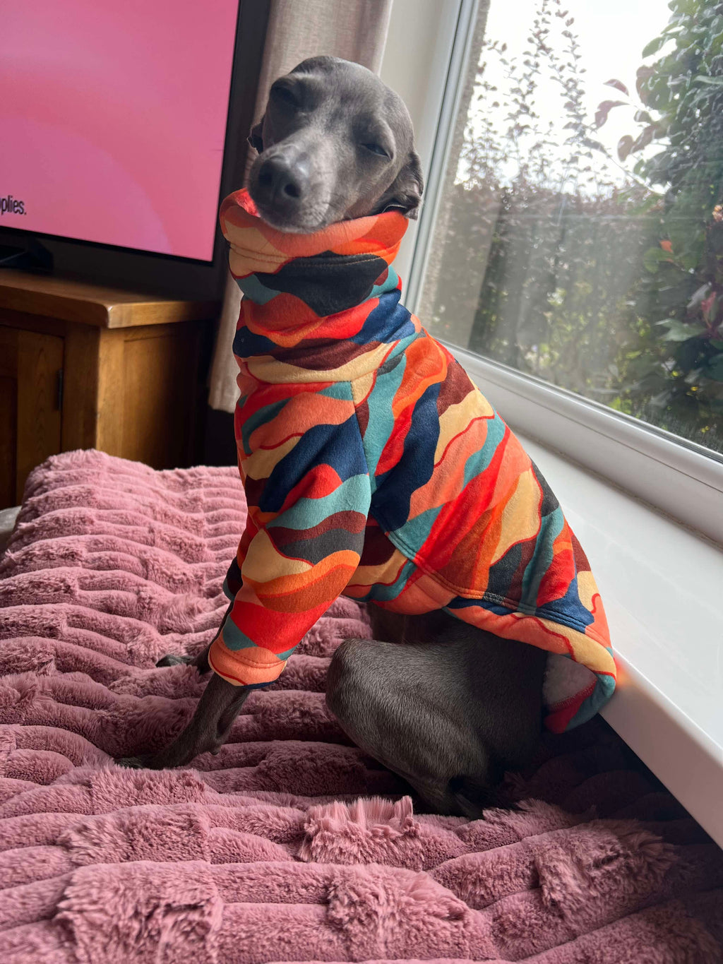 Sherpa Lined Fleece Puppy Jumper - Mountains