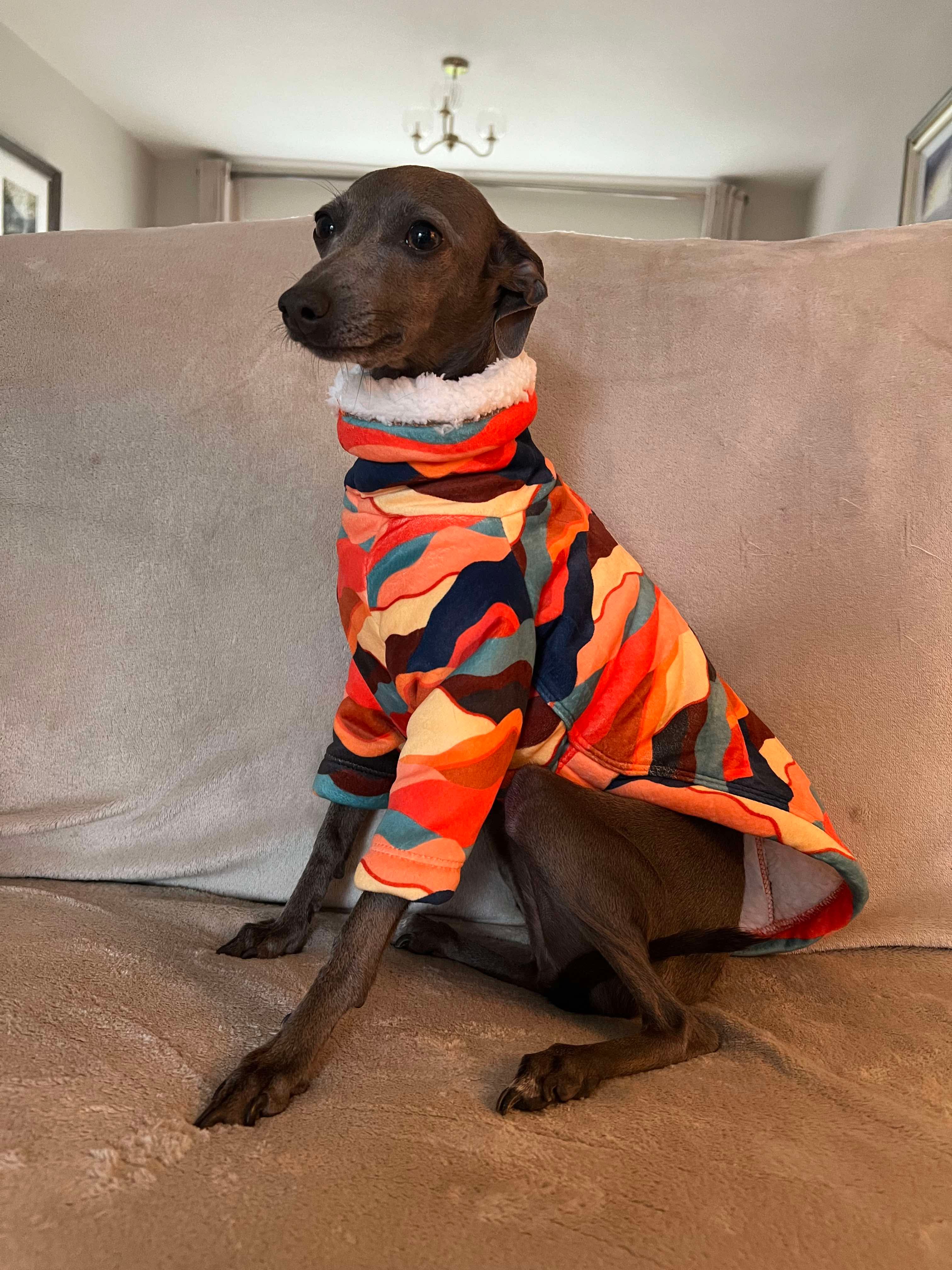 Sherpa Lined Fleece Puppy Jumper - Mountains