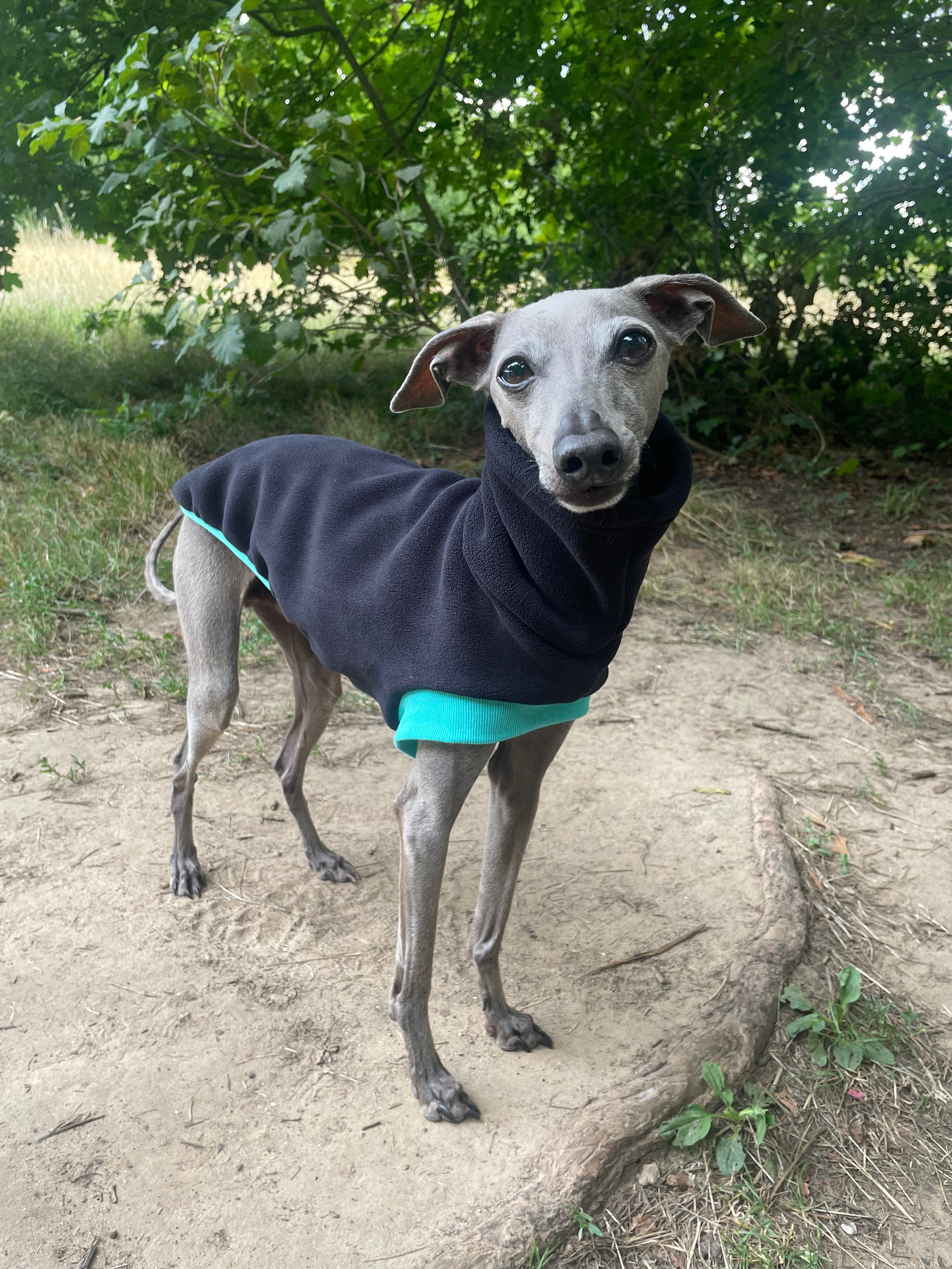 Open-Leg Fleece Vest - Black & Aqua
