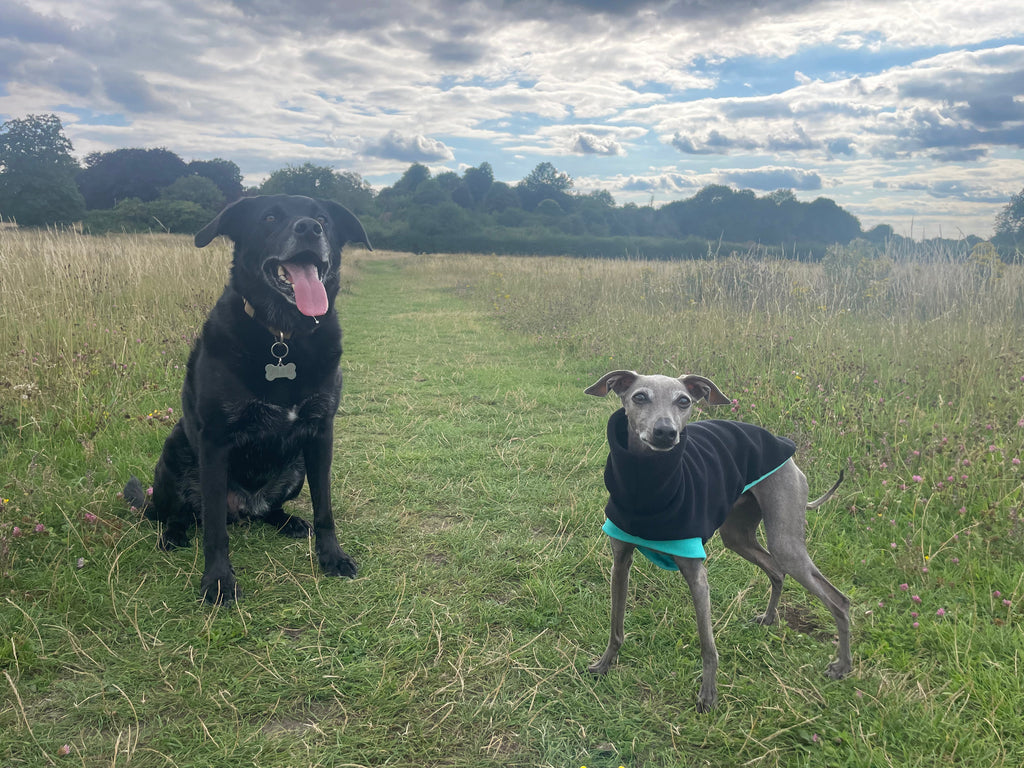 Open-Leg Fleece Vest - Black & Aqua