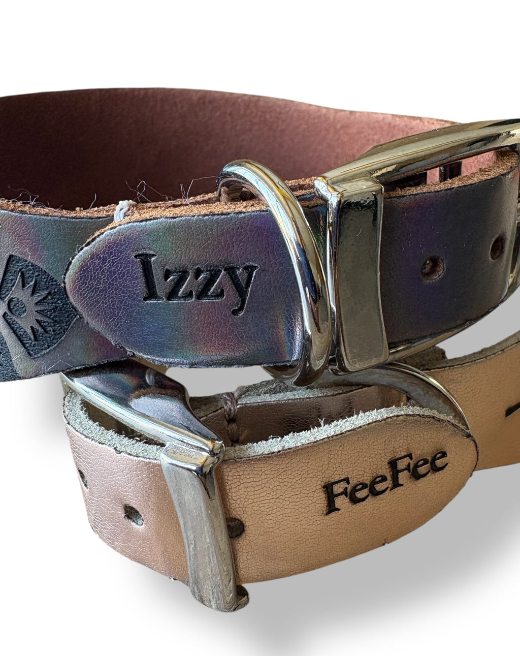 Leather Collar - Hounds