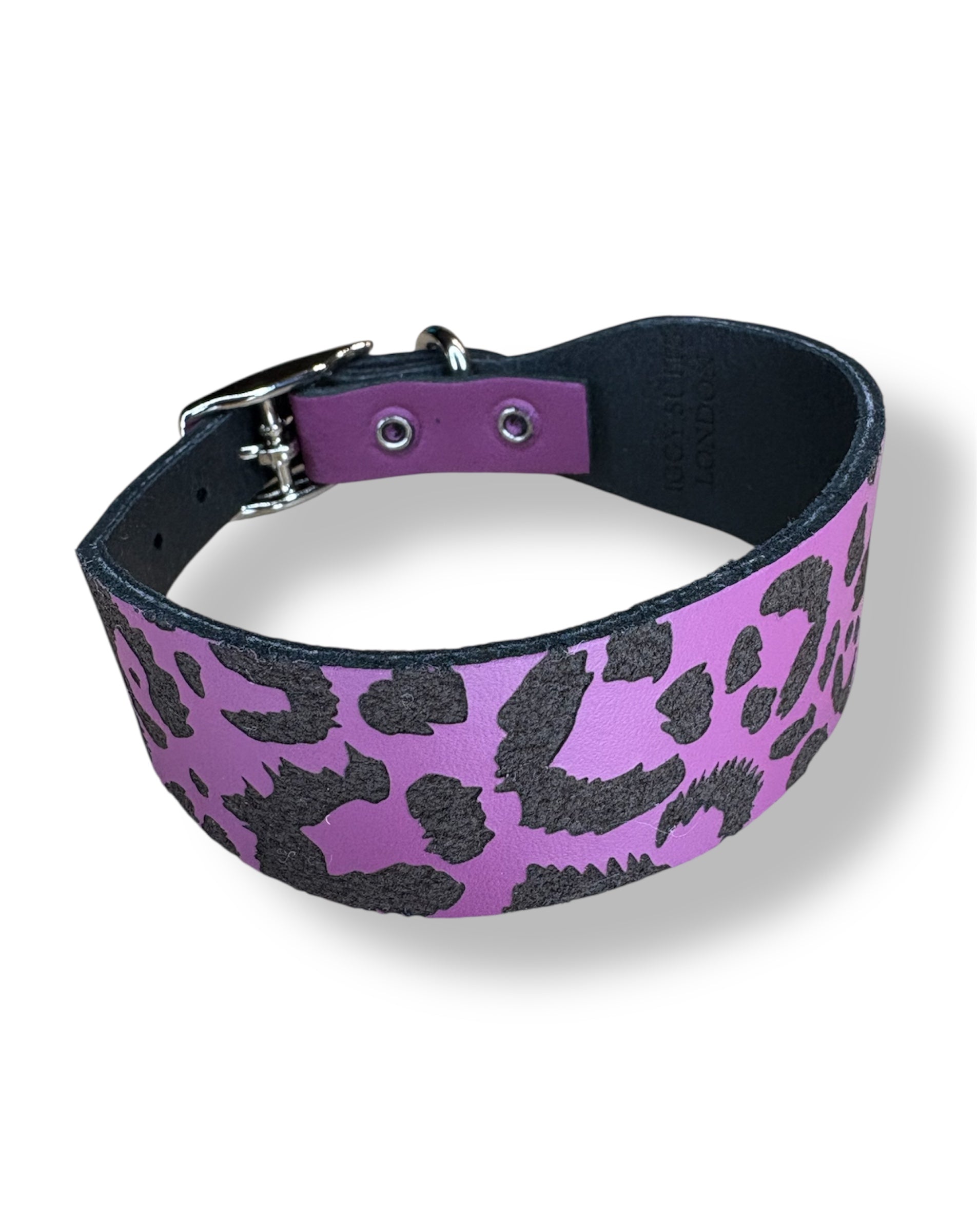 Purple and black leopard print dog collar on a white background