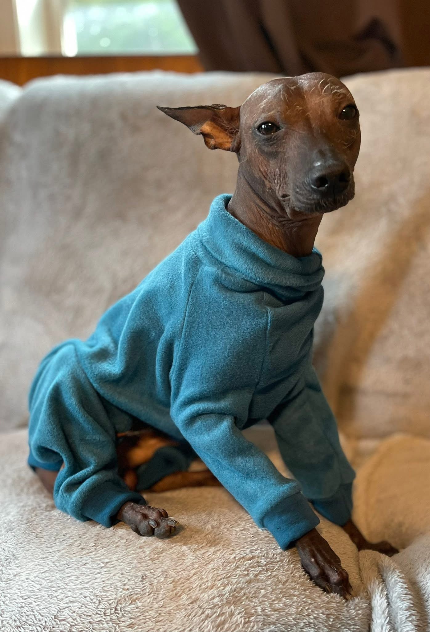 Fleece Lined Sweatshirt - Charcoal Grey