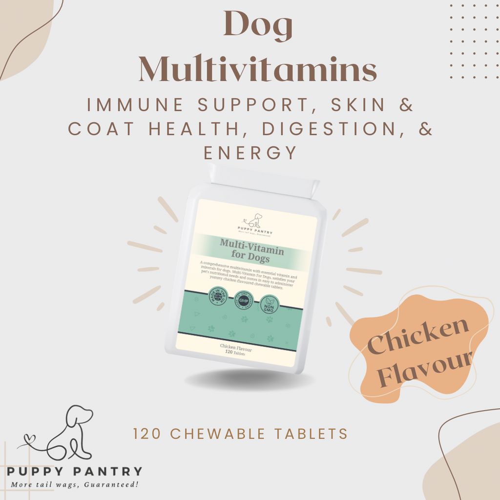 Multivitamin Chews for Dogs – Chicken (120 Pack)