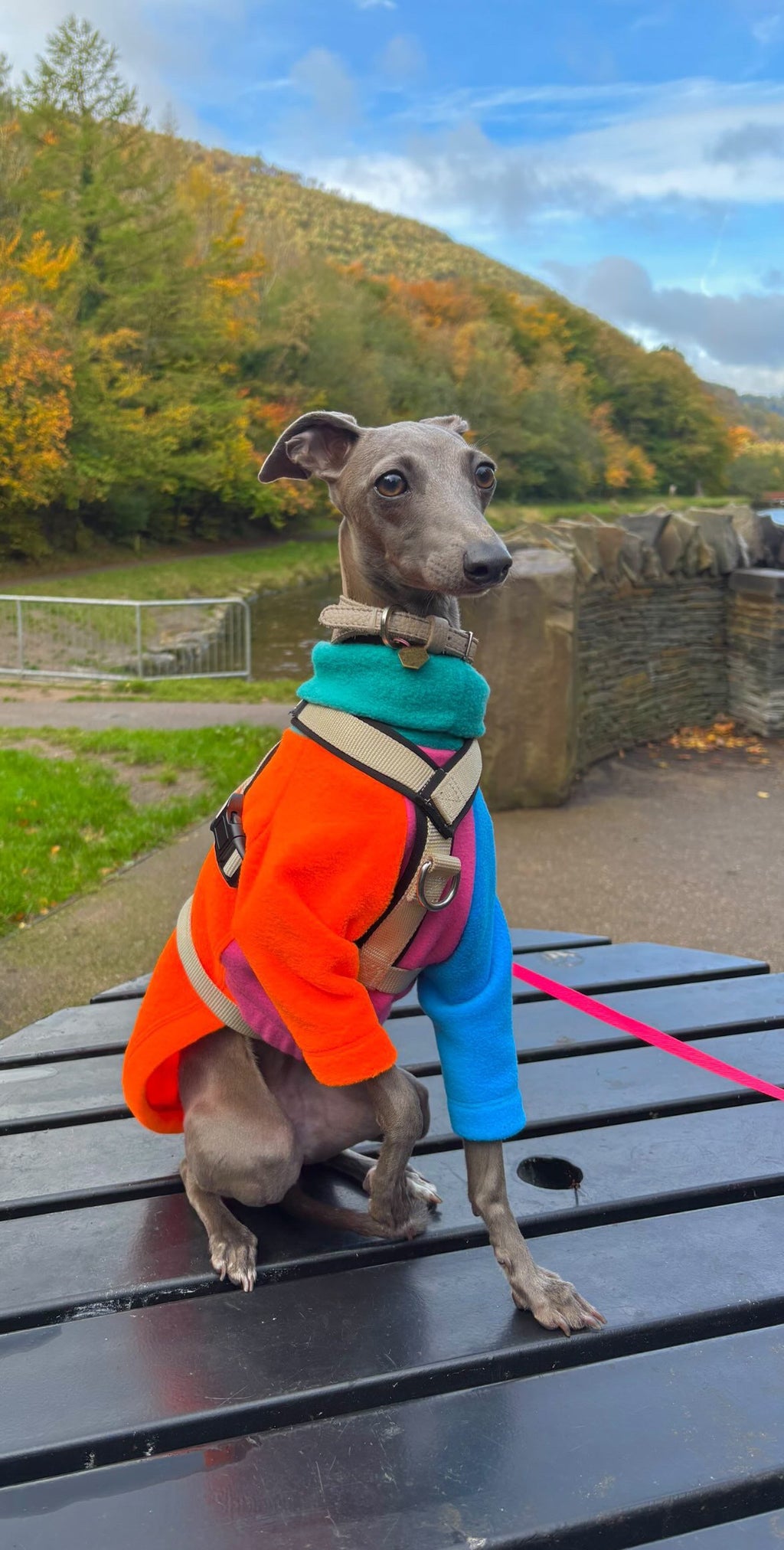 Fleece Jumper - Neon Colour Block