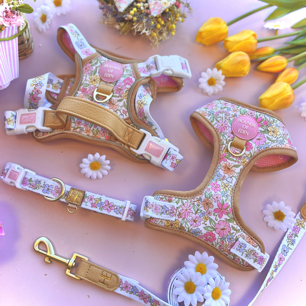 Pastel Petals - Dog Collar + ID Tag Holder