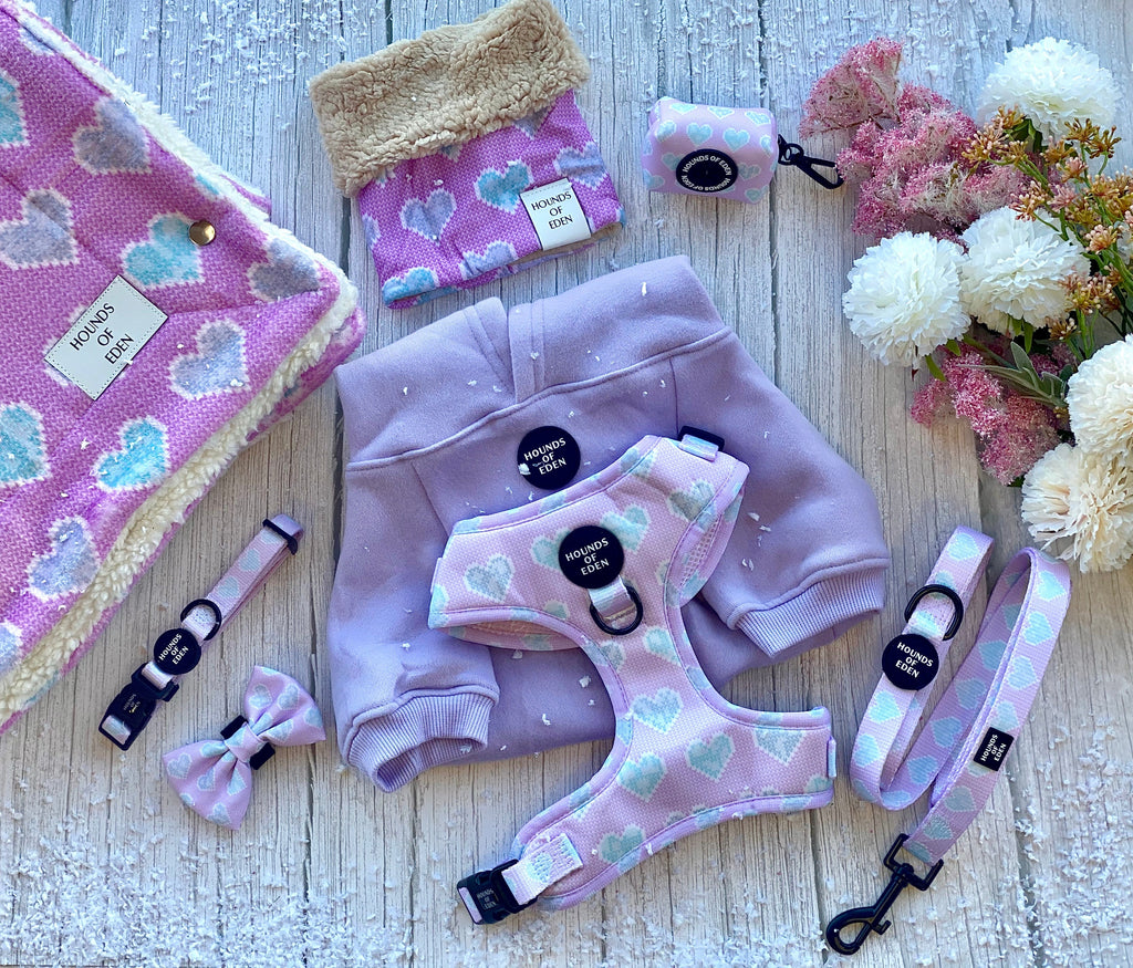 Don’t Go Barking My Heart - Pink and Teal hearts Poop Bag Holder