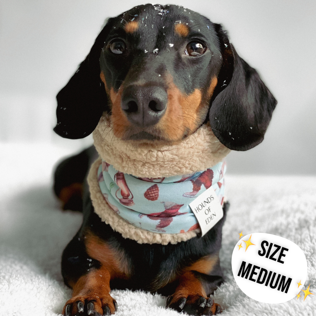 Steel Leopard Dog Snood