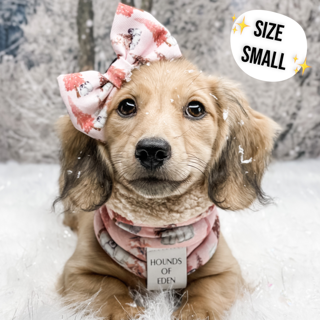 Blushing Leopard Dog Snood