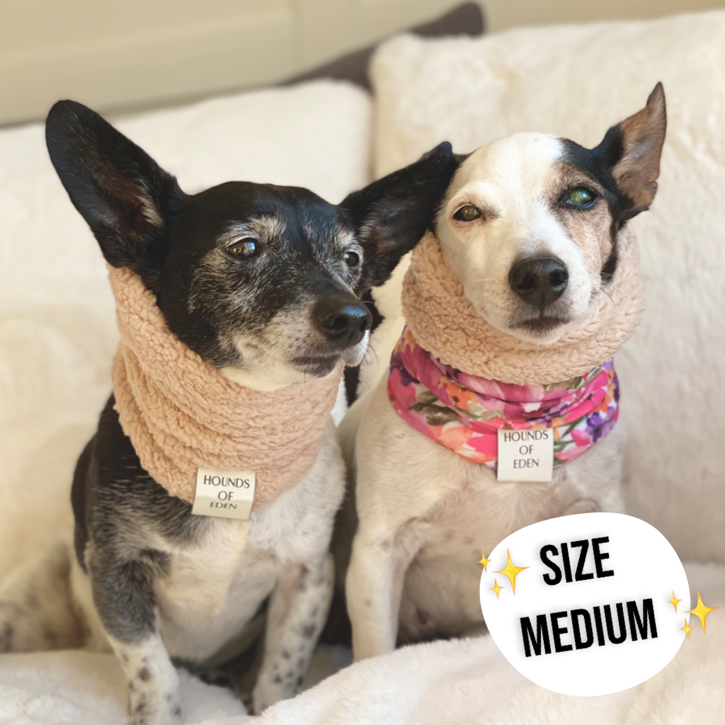 Blushing Leopard Dog Snood