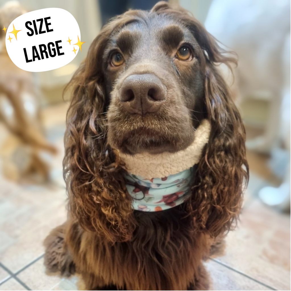 Florentina Dog Snood