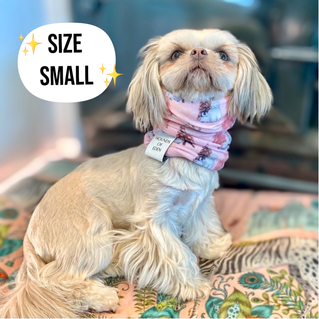 Florentina Dog Snood