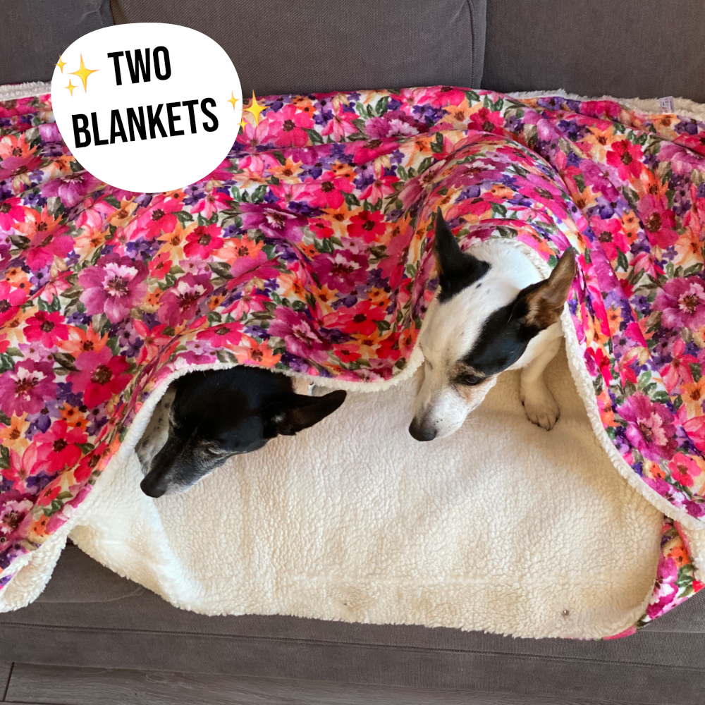 Florentina Snuggle Blanket