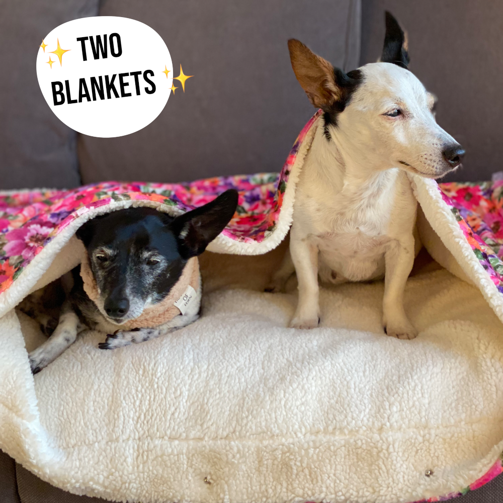 Florentina Snuggle Blanket