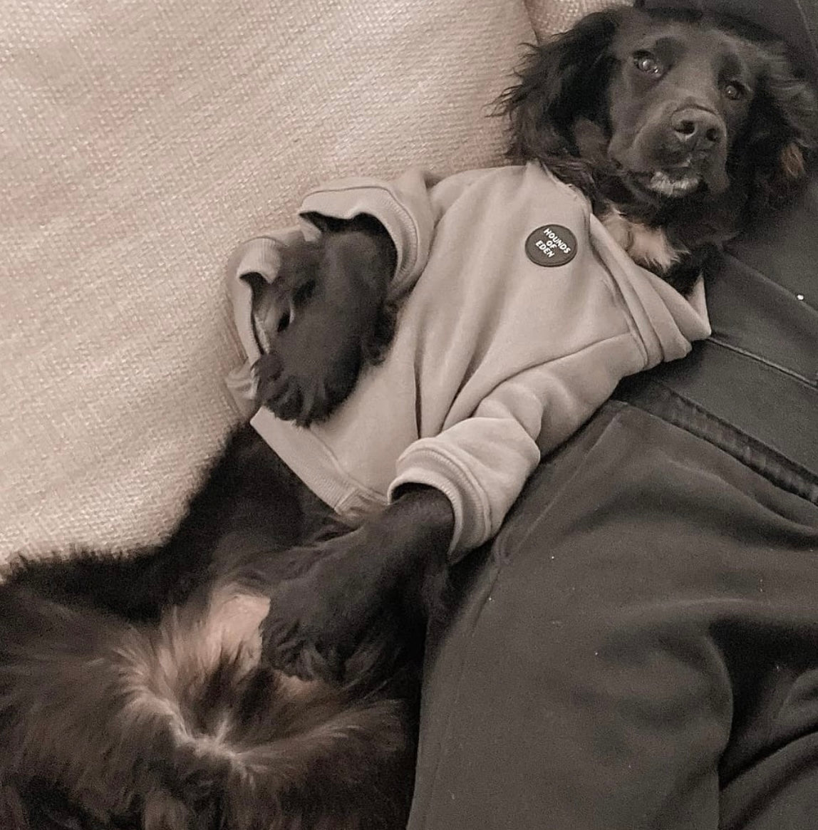 Dog Hoodie - Sky Blue