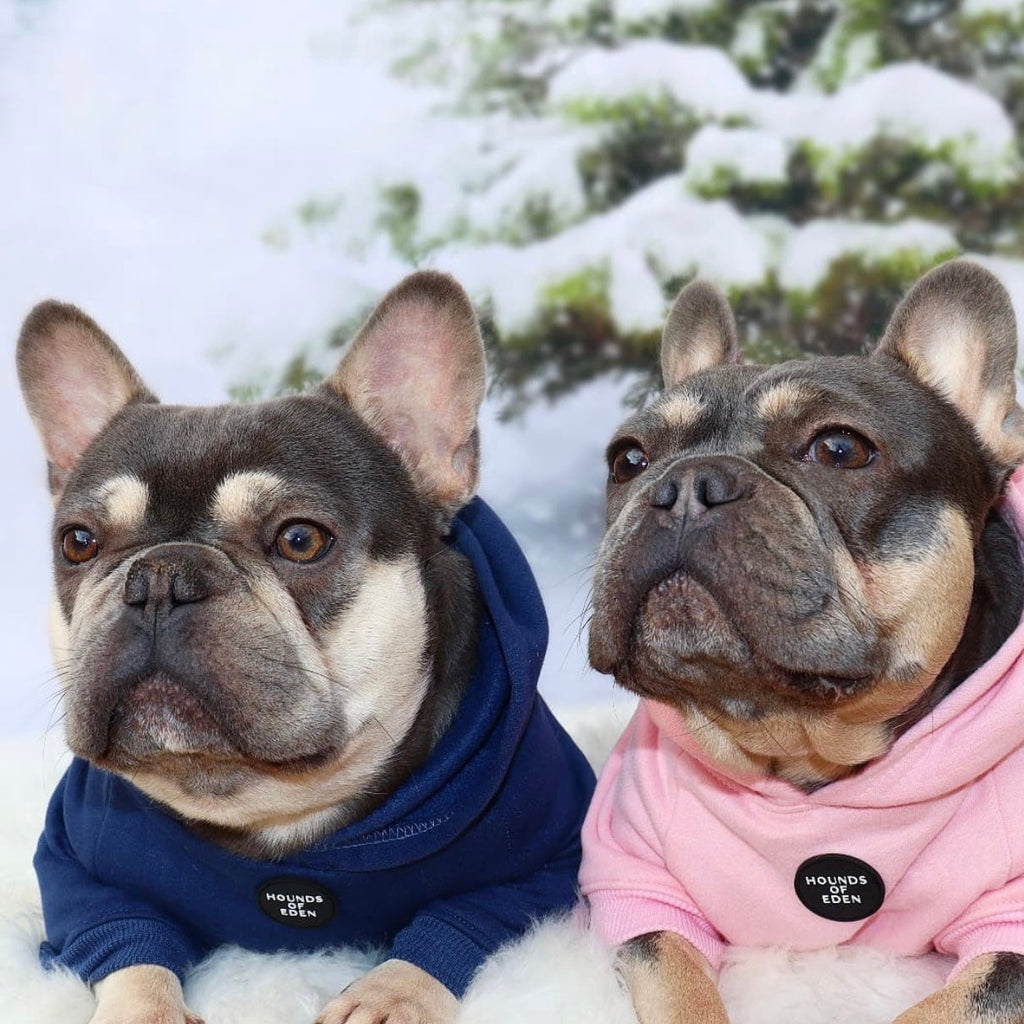 Dog Hoodie - Olive Green