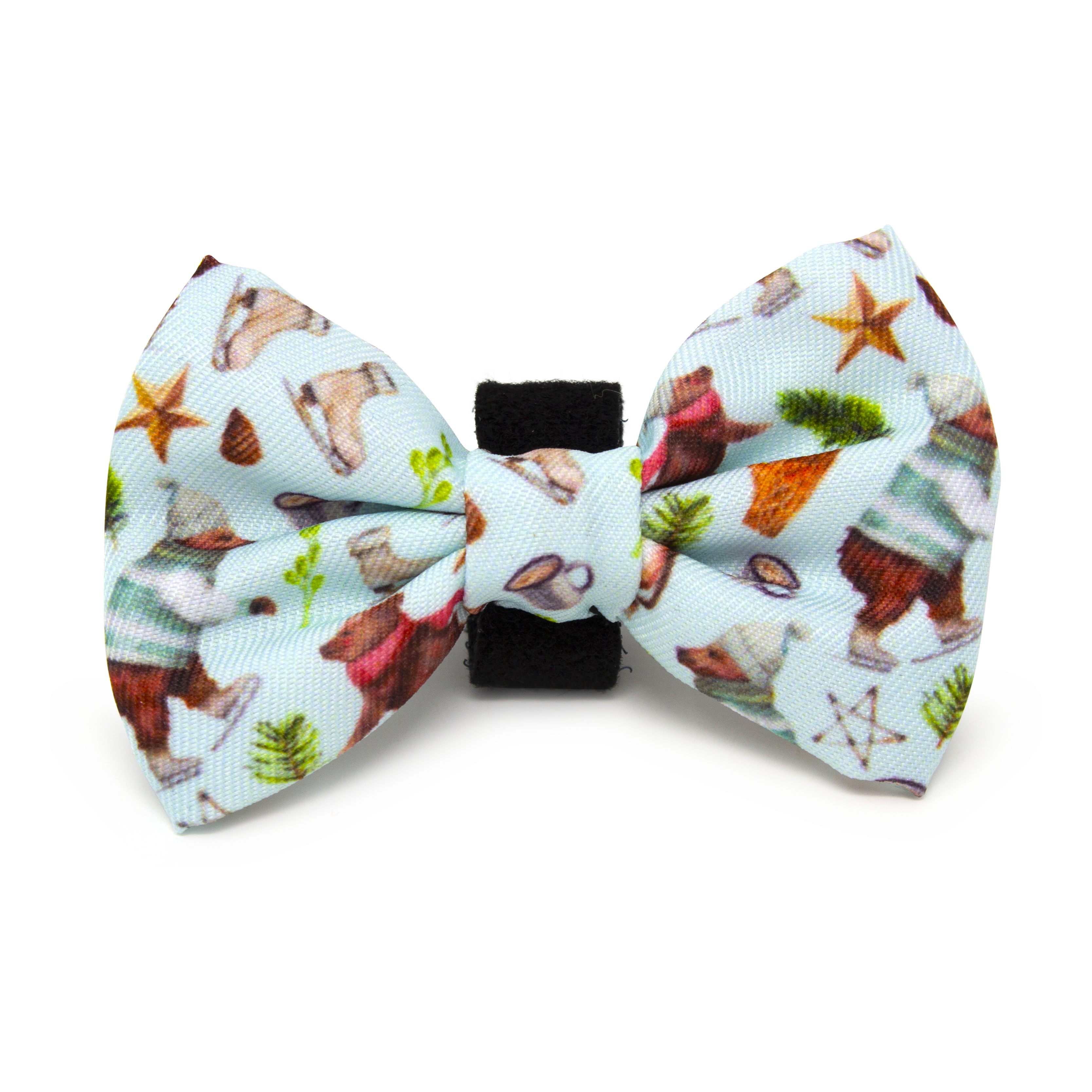 Teddy it's Cold Outside Dog Collar